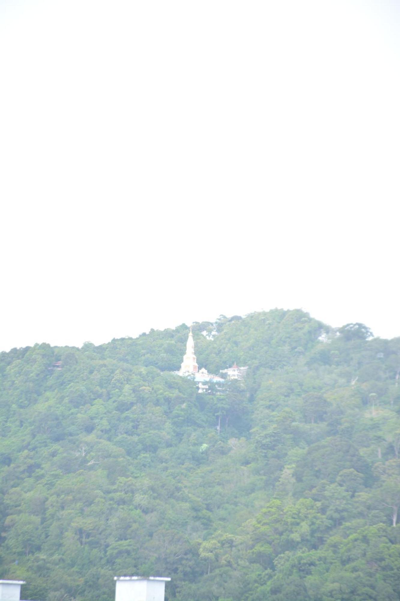 Chilli Salza Patong Hotel Luaran gambar